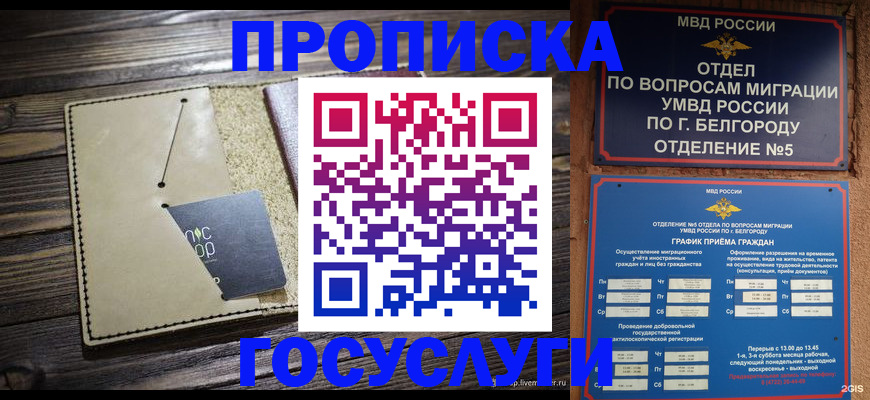 прописка 2025 в Северодвинске